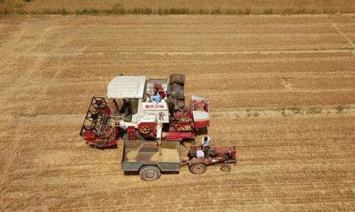 托管服務(wù) 減損增效