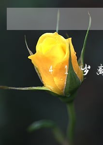 41歲離婚律師-51歲離婚