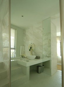 時尚現(xiàn)代簡約衛(wèi)生間臺階隔斷設(shè)計