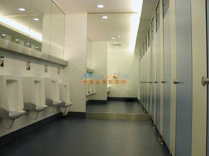 東莞衛(wèi)生間隔斷效果圖及優(yōu)惠板材選購指南